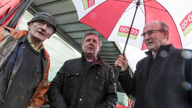 Imported fodder to aid 800 Dairygold suppliers by end of week