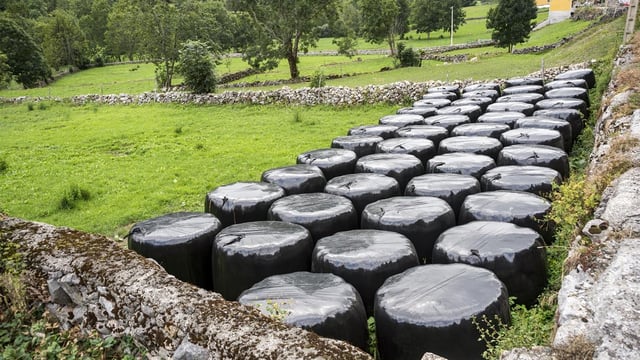 Bright start to turn with mixed week in store - Met Éireann