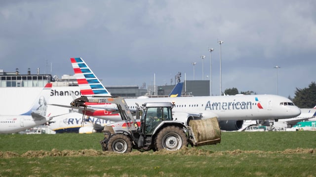 Video: Harvesting of up to 1,000 bales of silage takes place in Shannon Airport