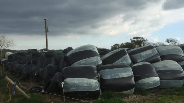 Warning issued over farmers' eagerness to replenish silage supplies