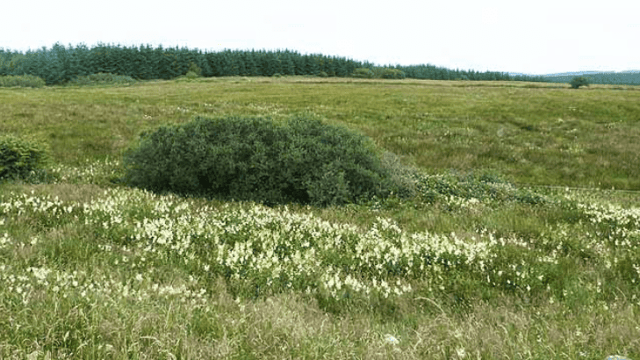 GLAS traditional hay meadow grazing deadline extended