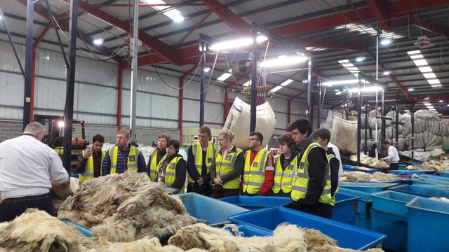 Ulster Wool launches new scheme for first-time sheep farmers