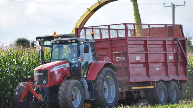 'Growing crops on contract presents a win-win opportunity'