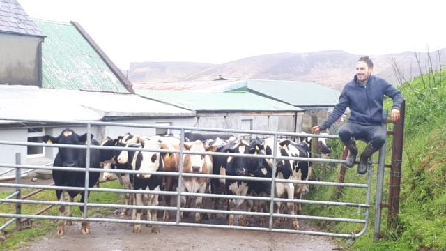 Kerry farm family poised to set 5 Guinness World Records