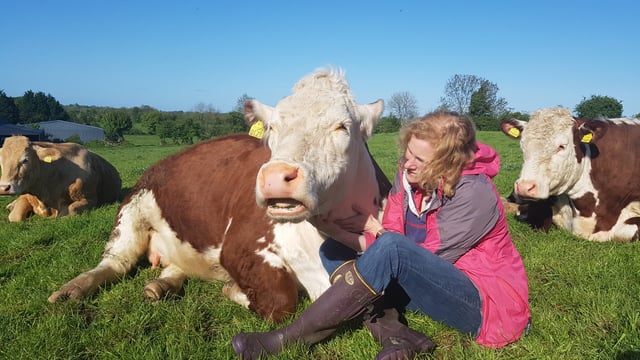 Cavan farm takes 'crafty approach' to diversification