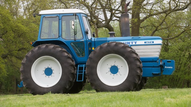 Ahead by a nose: How much is this oddity worth?