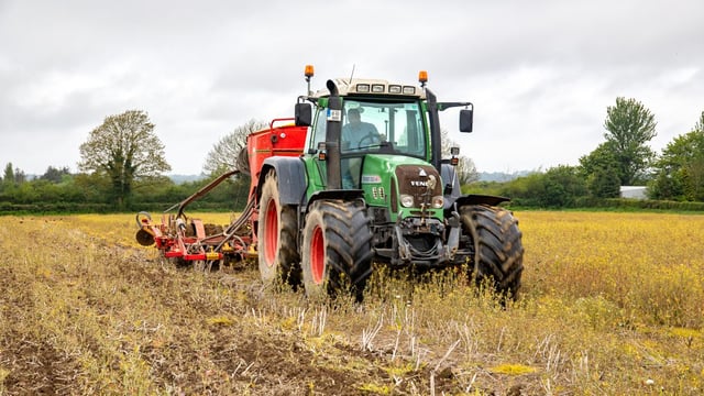 CROPS WATCH: Spring barley needs help early to reach potential