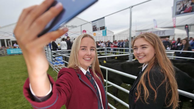 Angus challenge begins as kids meet calves at Balmoral