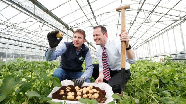 New season spuds survive storms and snow to surface at Aldi