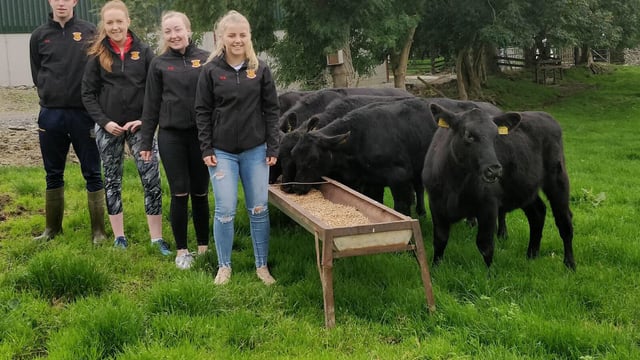 Gate to plate: 'Royal' students showcase perks of Angus breed