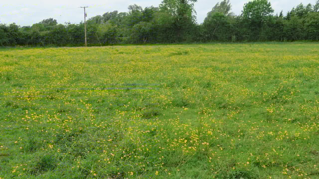 Over 75% of applications rejected in Organic Farming Scheme