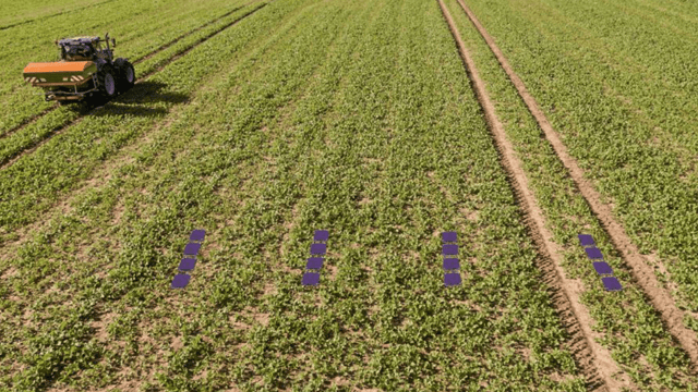 Is this the new easy way to check fertiliser spread patterns?