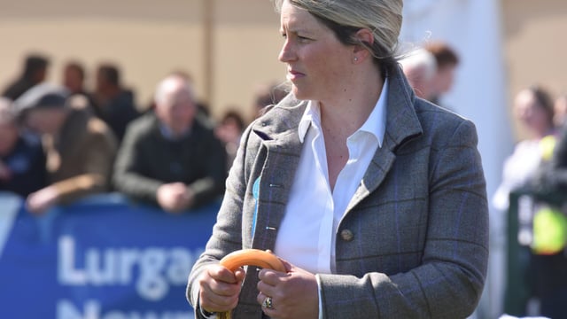 Results and pictures: All the action from the sheep rings on Balmoral Day 1