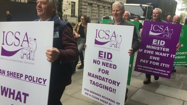 ICSA warns Creed to 'go back to drawing board' on EID tagging