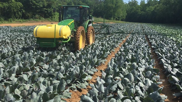 Tillage focus: This Irish man is planting vegetables in the North Carolina hills