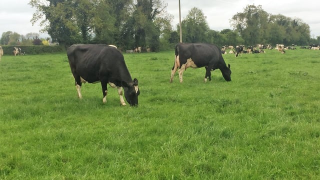 'We're coming through a historically bad year for grass growth'