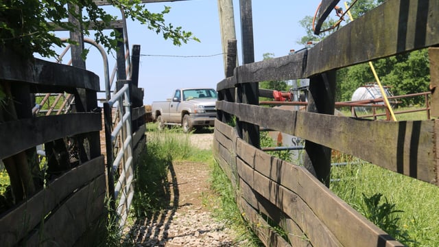Beef, bourbon and bluegrass: Beef farming in Kentucky