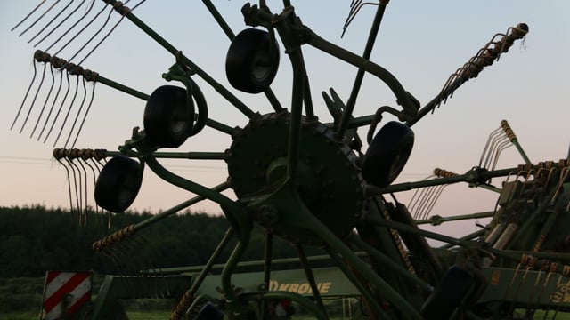 GrassCheck: Contractors reel in bumper first cut as growth spurt continues