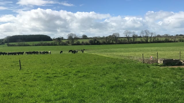 Grass focus: Making more from less on rented ground in Co. Galway