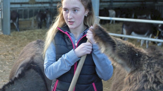 Turbulent urban teens set to be 'raised by the village'