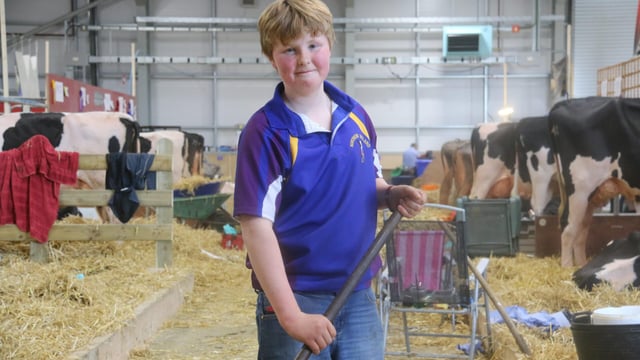 Farm boy's inspirational shave gets Balmoral breeders digging deep