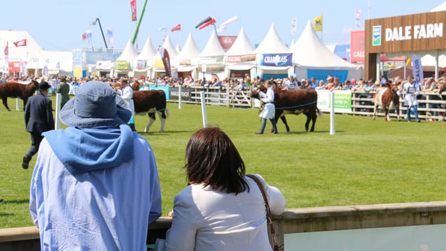 Results and pictures: All the action from the beef rings on Balmoral Day 1
