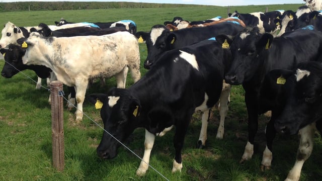 Irish Water commits to 'direct contact' with farmers
