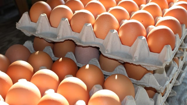 Tesco Ireland moves to barn, free range and organic eggs