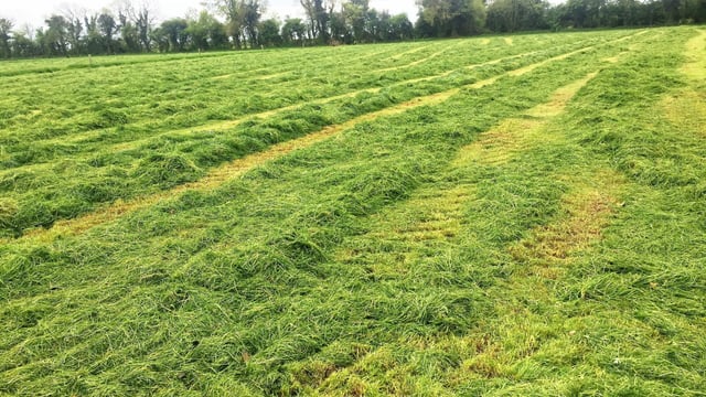Dairy focus: Silage season kicks into gear in Co. Kildare