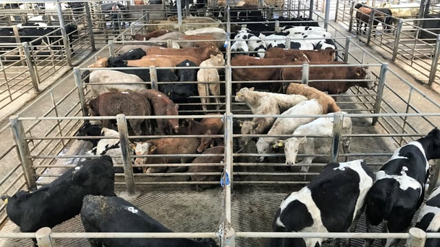 Mart trade: Numbers ease and quality comes under pressure