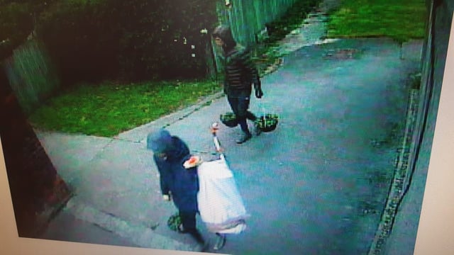 UK farm vandalised and animals abused in criminal break-in