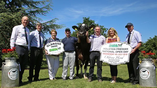 Heifers hit a top price of €3,750 at IHFA celebratory sale