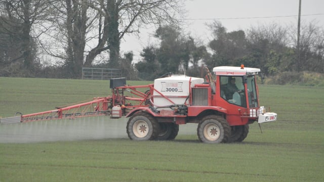 Neonicotinoids to be available for autumn planting