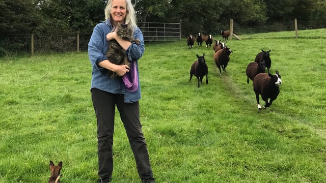 'Bossy, bolshie' Kilkenny cat set for 'Bodacious' book launch