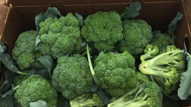 Rain doesn't end problems for veg growers