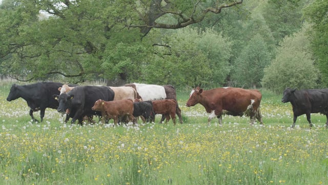 DAERA urged to rethink method of farming grant delivery