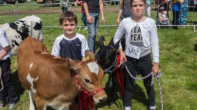 Artisan food producers to be lauded at Clonmel Show