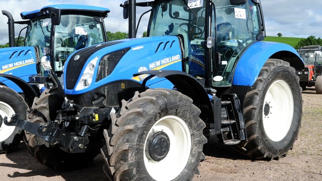 Auction report: 'Blue' and 'green' highlights from big Co. Tyrone sale
