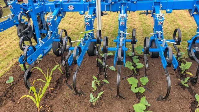 Mechanical weeding: 'We need something else in our toolbox'