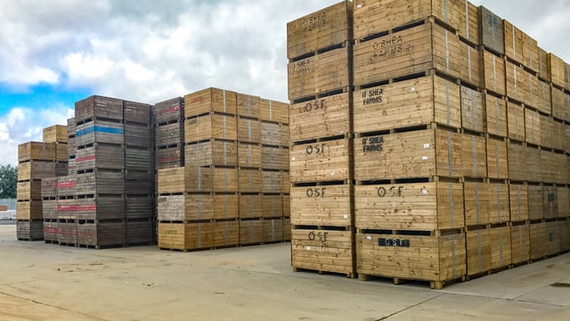 Less than 20% of potato crop left to be harvested
