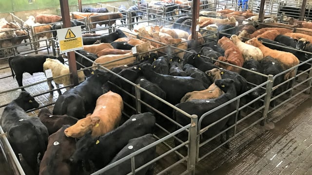 Mart trade: Numbers ease as field work takes priority