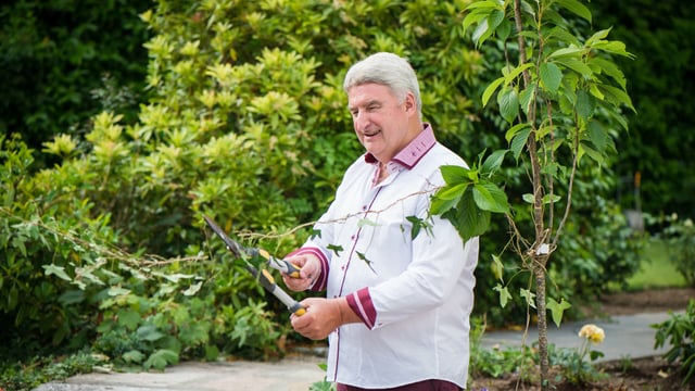 Cork farmer targets international wellness and fine dining market