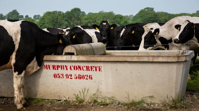 Testing the quality of your farm's water supply