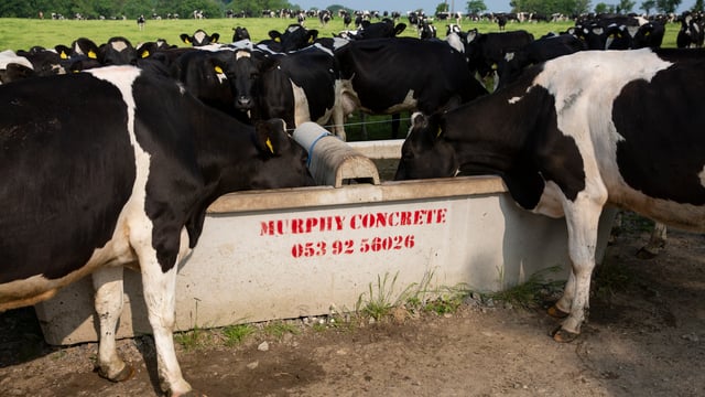 Water consumption on farms increases as temperatures soar