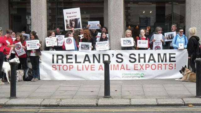 Live exports protest planned for this weekend