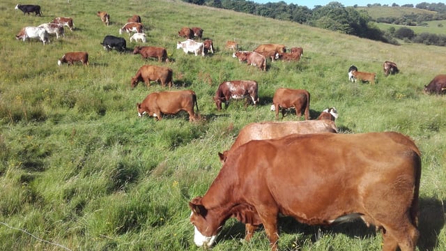 'At 10 I told a silage contractor that I wanted to be an artist'