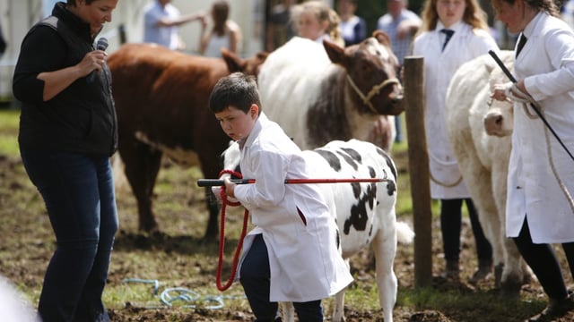 Vintage enthusiasts and show society get the royal nod