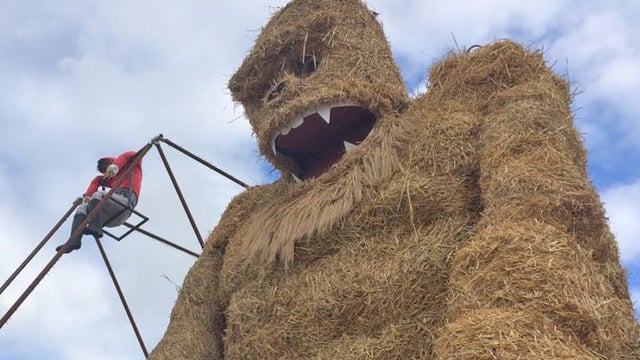 Spectacular scarecrows set for festival fever in Laois