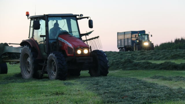 Caught in the rain: Should I mow or should I wait?