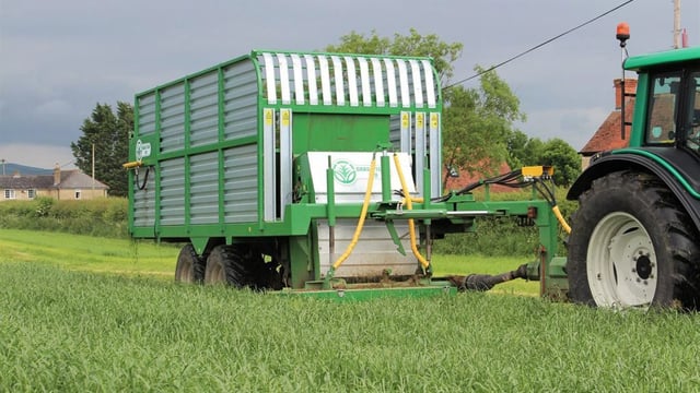 How to make best use of zero-grazed grass